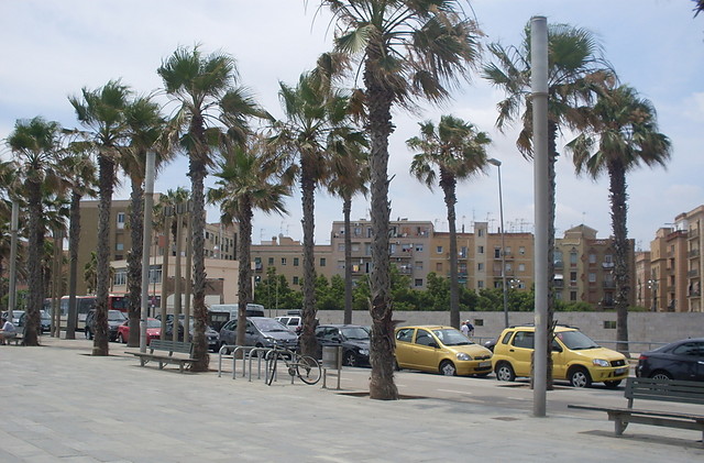 palma.