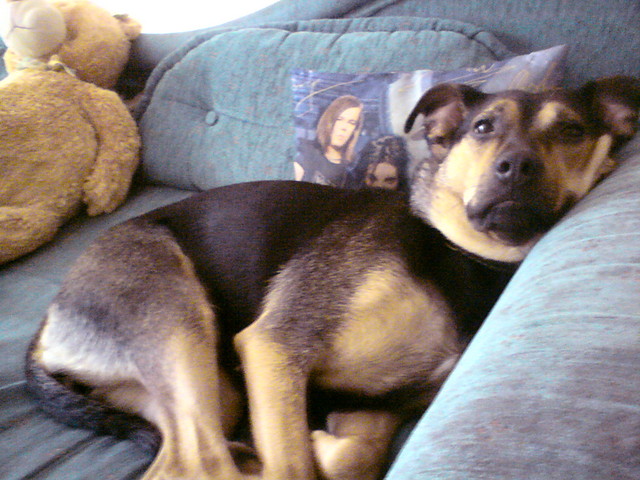 misia ;D.
