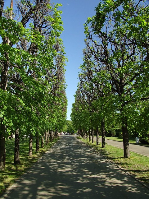 Green Alley