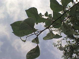 Nature.! :D