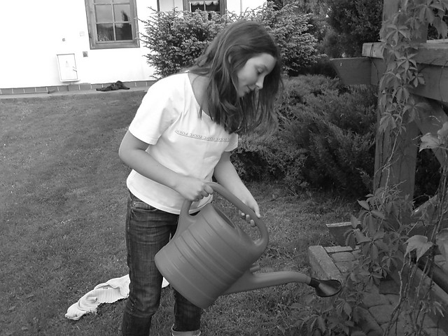 gardenphotography