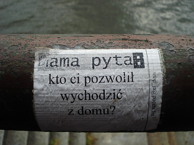 Wpis fgdd