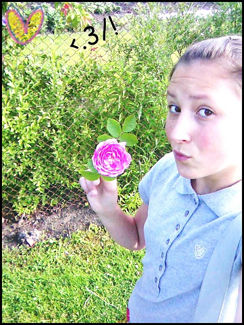 Kffiateek . xdd