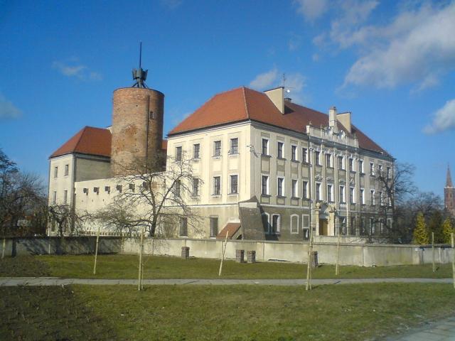 Zamek gogowski