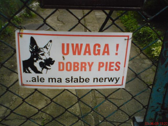 Piesek...