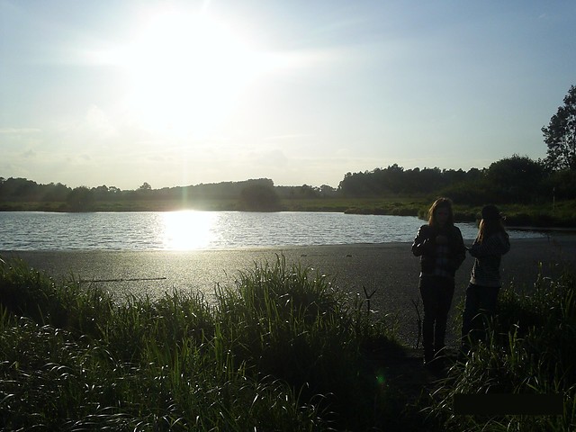 Torfoo . ;]