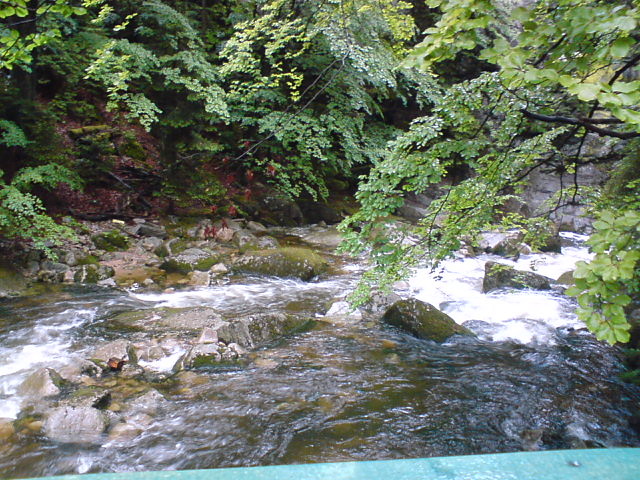rzeczka