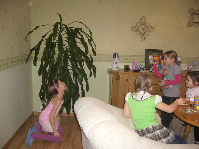 urodziny...