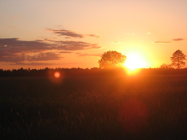 Sunset.