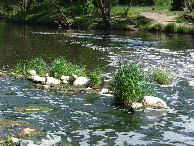 Wpis monisiek2506