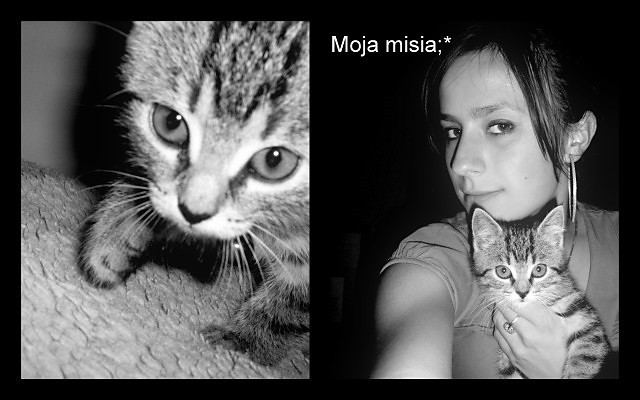Misia;*