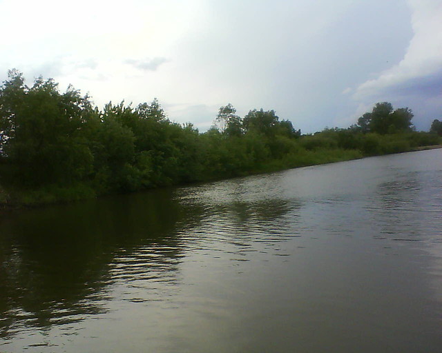 Wisa