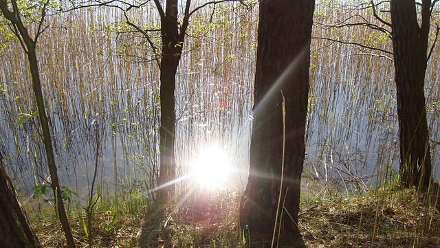 odbicie, jak w lustrze.