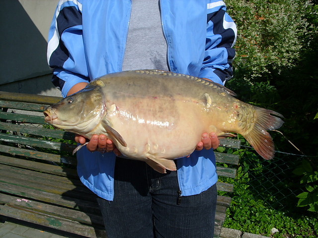Karpik 9 kg