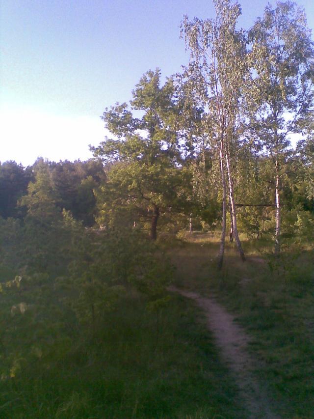 Wpis kacper660