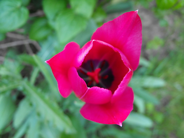 1.