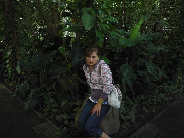 Wpis naprawdenaniby