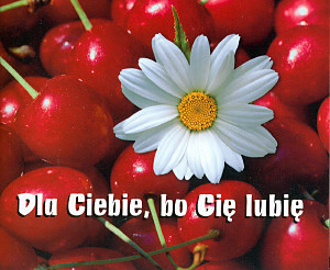 Wpis alutka2907