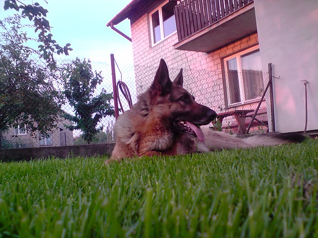 Wpis molody91
