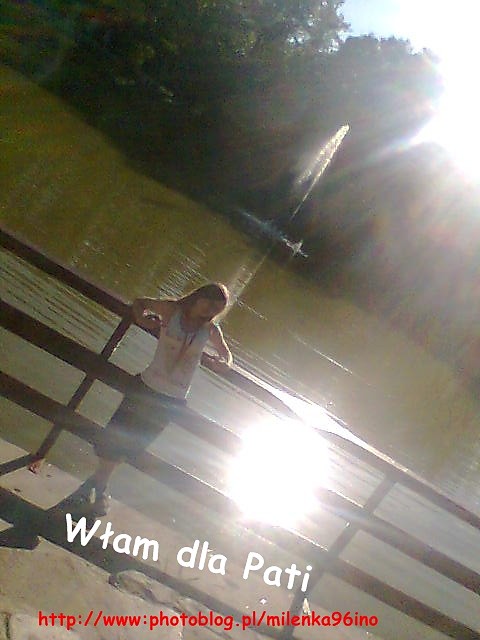 WamiQ