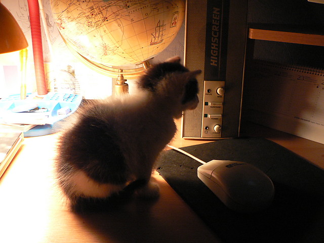 Dawno i nieprawda:D