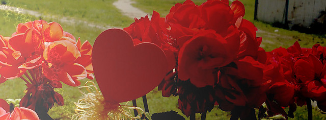 old love.