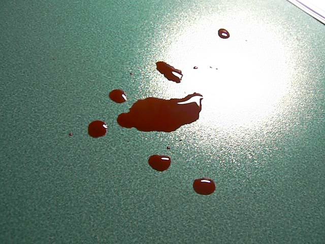*blood* by Sadir