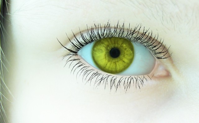 Eye