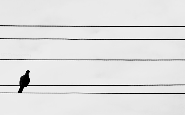 519.