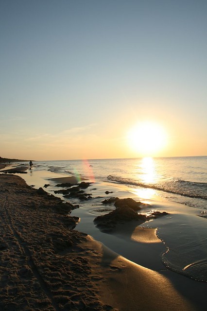 Wpis koziczek