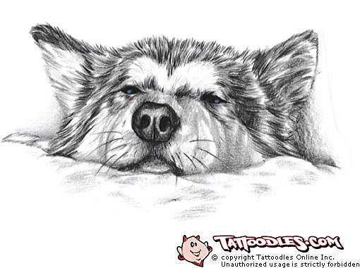 liczniusie..x33