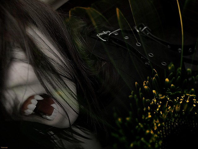 Vampirek