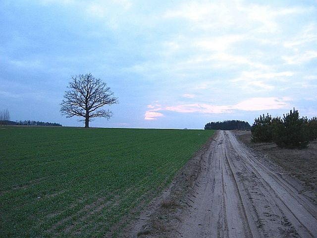 Wpis kacek14