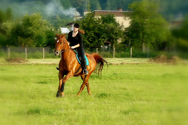 Wpis blankaksa
