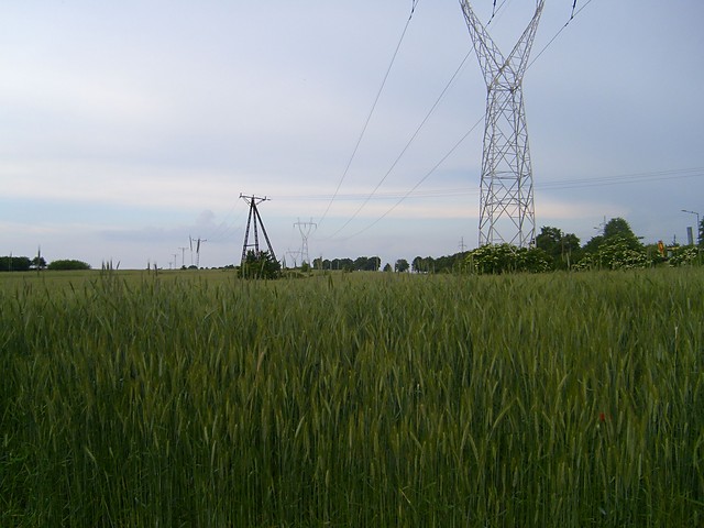 z bbelkami przez wiat