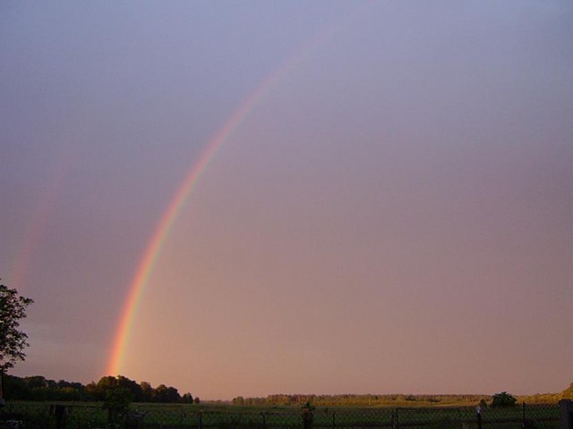 To the rainbow...