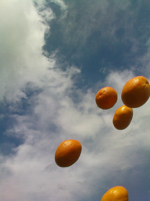 Oranges.
