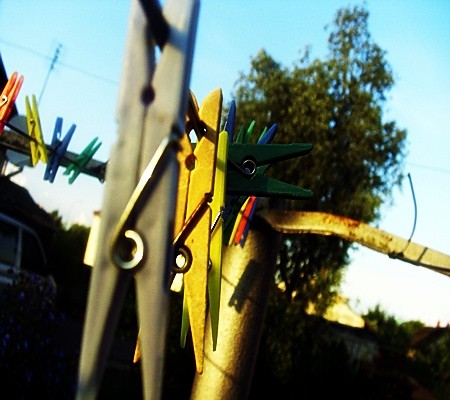spinacze ; d