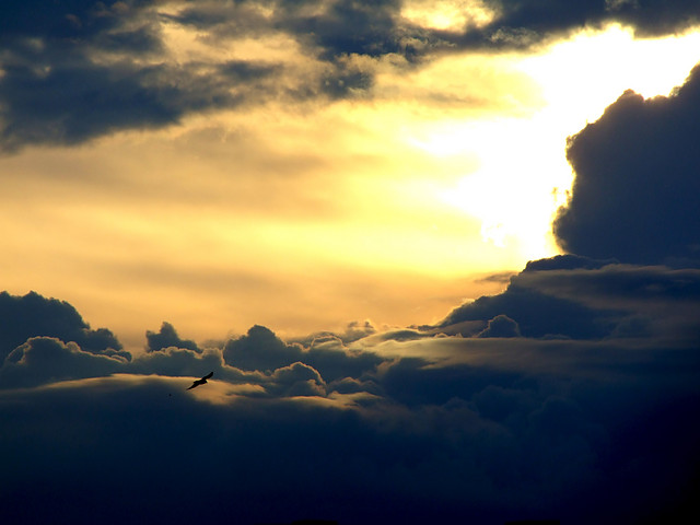 Heaven or Hell?
