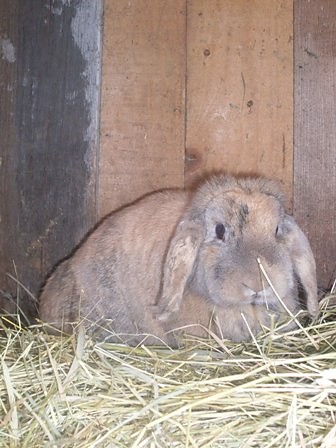 abcia:)