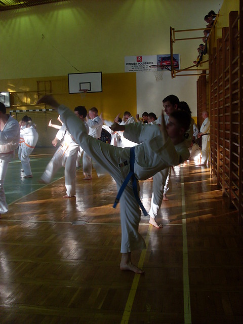 Egzamin letni 2009