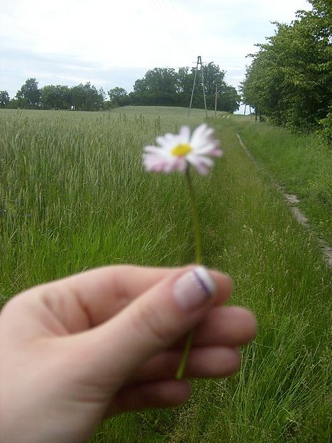 KWIATEK ;)