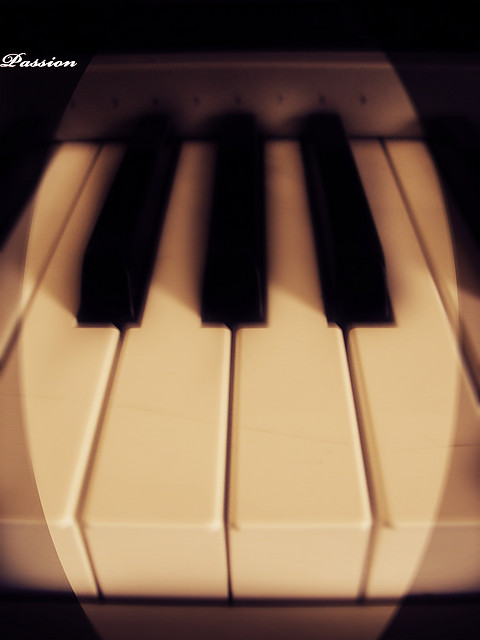 My Passion
