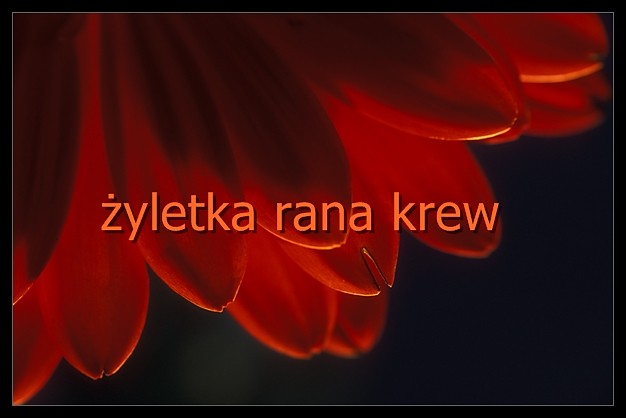 y czy umiera?