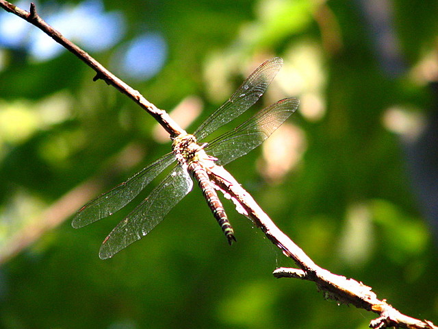 Chwila wytchnienia