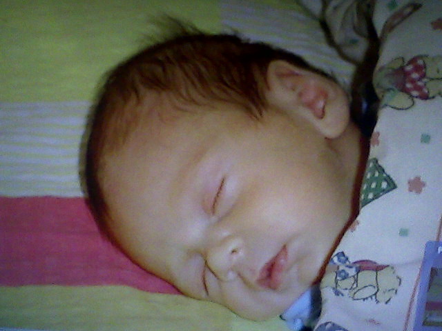 Synek :*