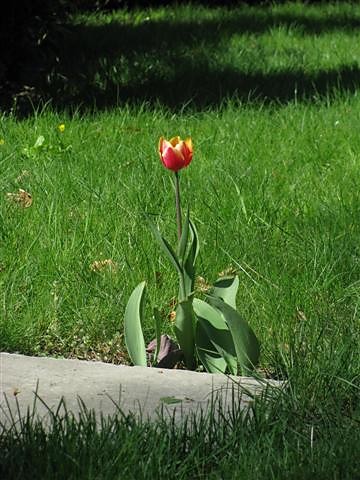 [Trudno tak.]