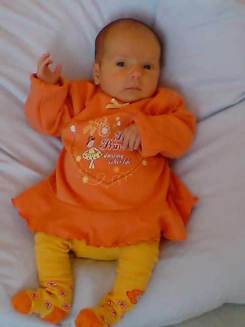 MAJA