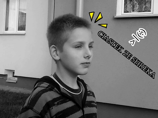 Wpis kornias