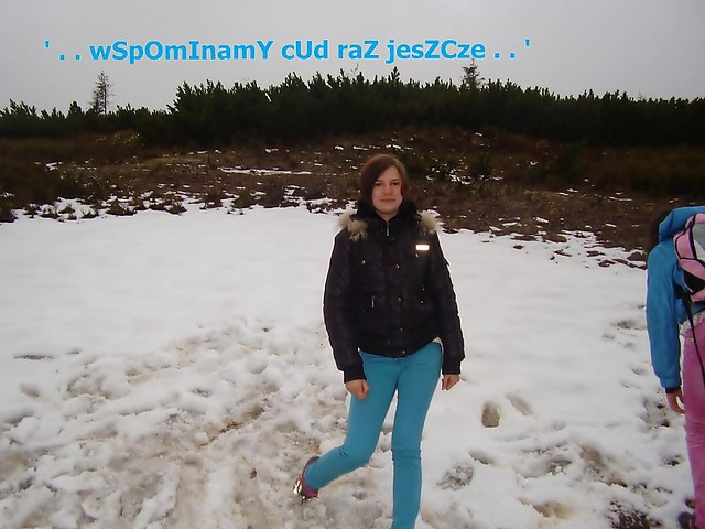 ;*** <  33 ;***